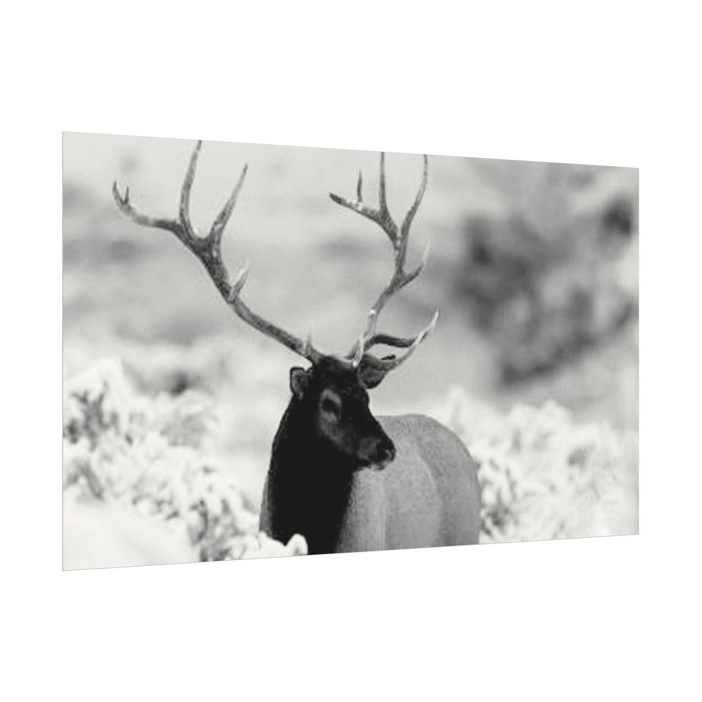 Majesty Of The North– Western Textured Watercolor Matte Posters