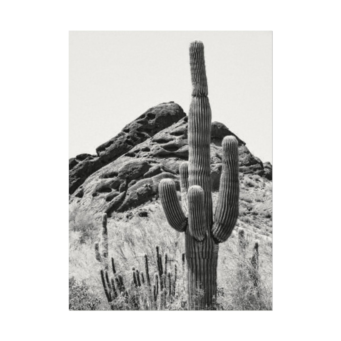 Reach For The Sky – Western Textured Watercolor Matte Posters