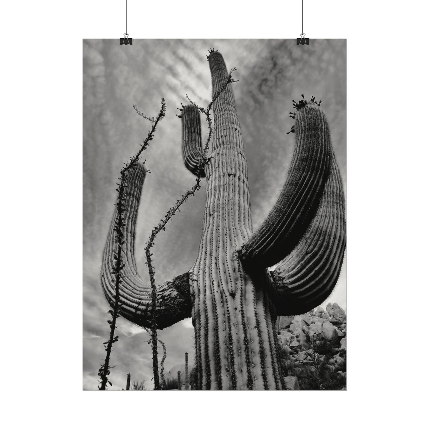 Desert Heights – Western Textured Watercolor Matte Posters