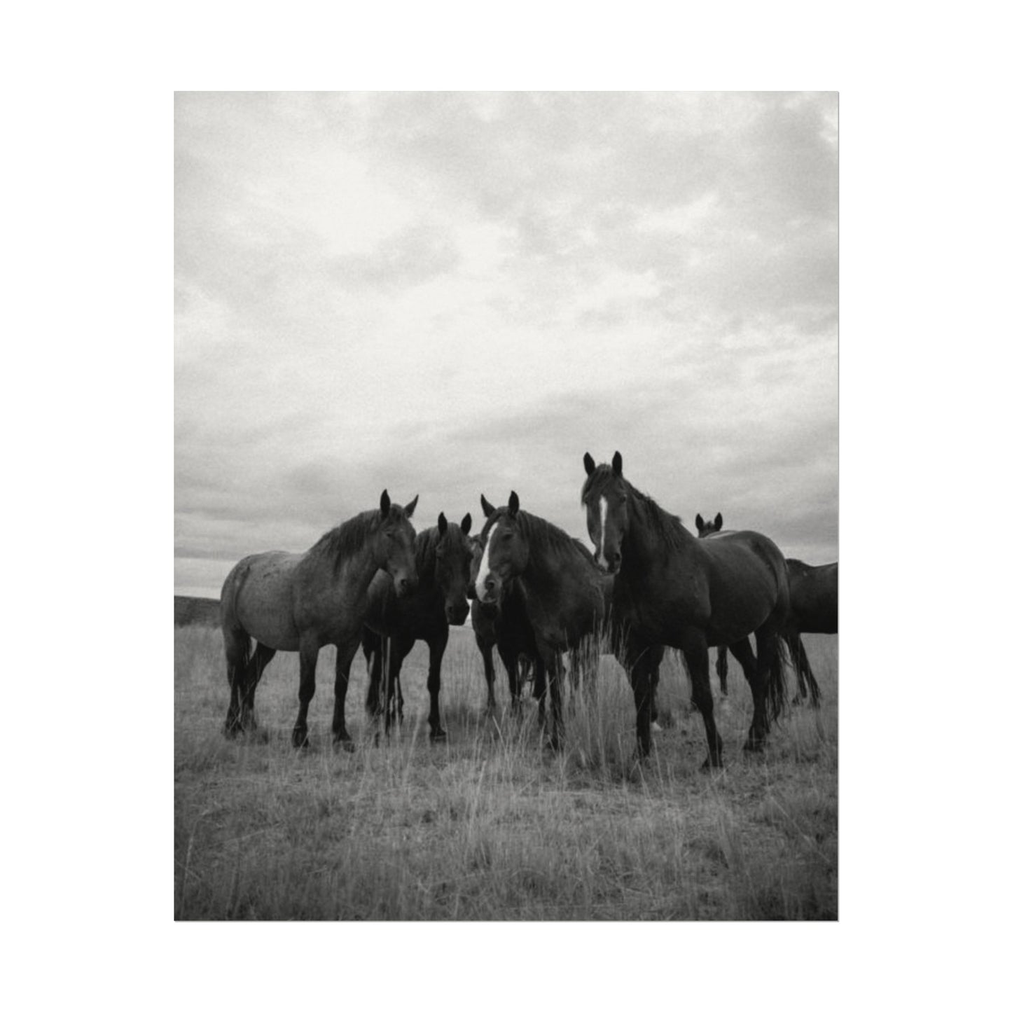 Unity In Numbers – Western Textured Watercolor Matte Posters