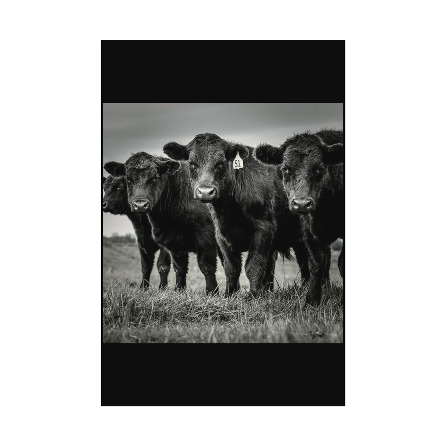 The Grazing Crew – Western Textured Watercolor Matte Posters