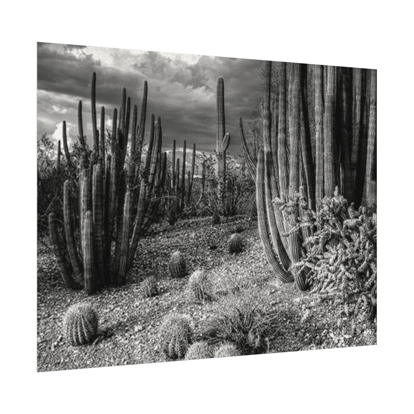 Desert Wastelands – Western Textured Watercolor Matte Posters