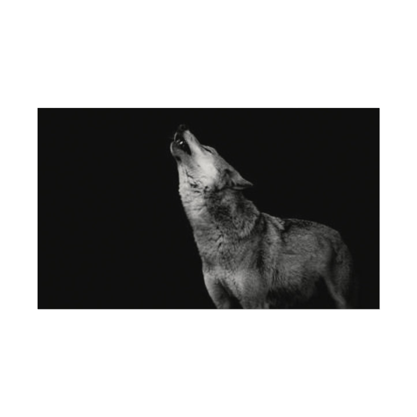 Howling At The Moon– Western Textured Watercolor Matte Posters