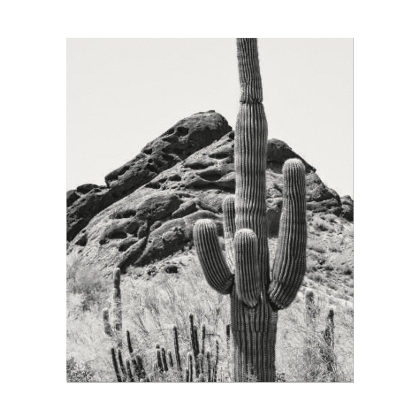 Reach For The Sky – Western Textured Watercolor Matte Posters