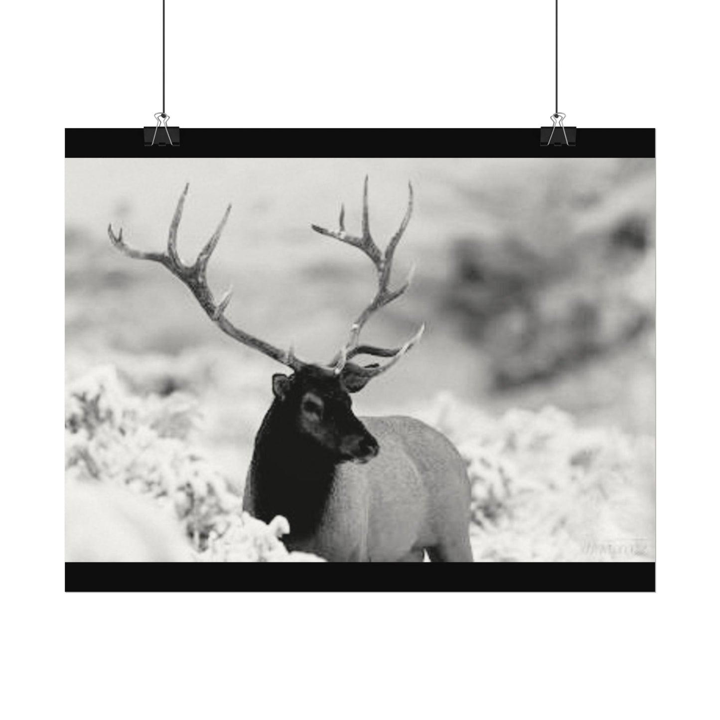 Majesty Of The North– Western Textured Watercolor Matte Posters