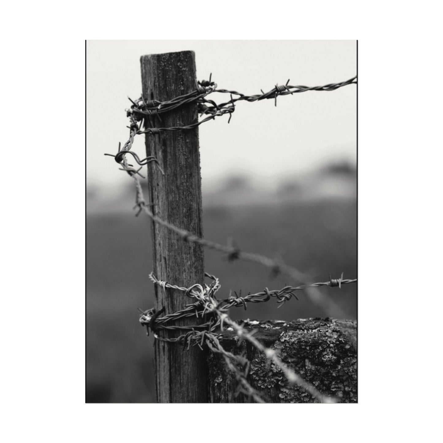 Tough As Nails – Western Textured Watercolor Matte Posters