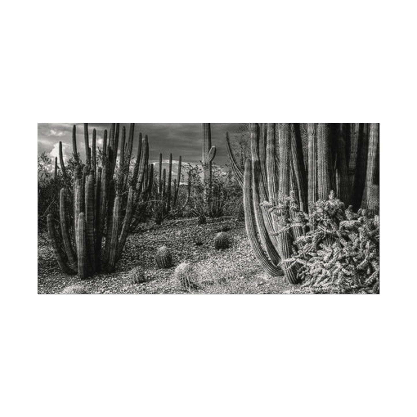 Desert Wastelands – Western Textured Watercolor Matte Posters