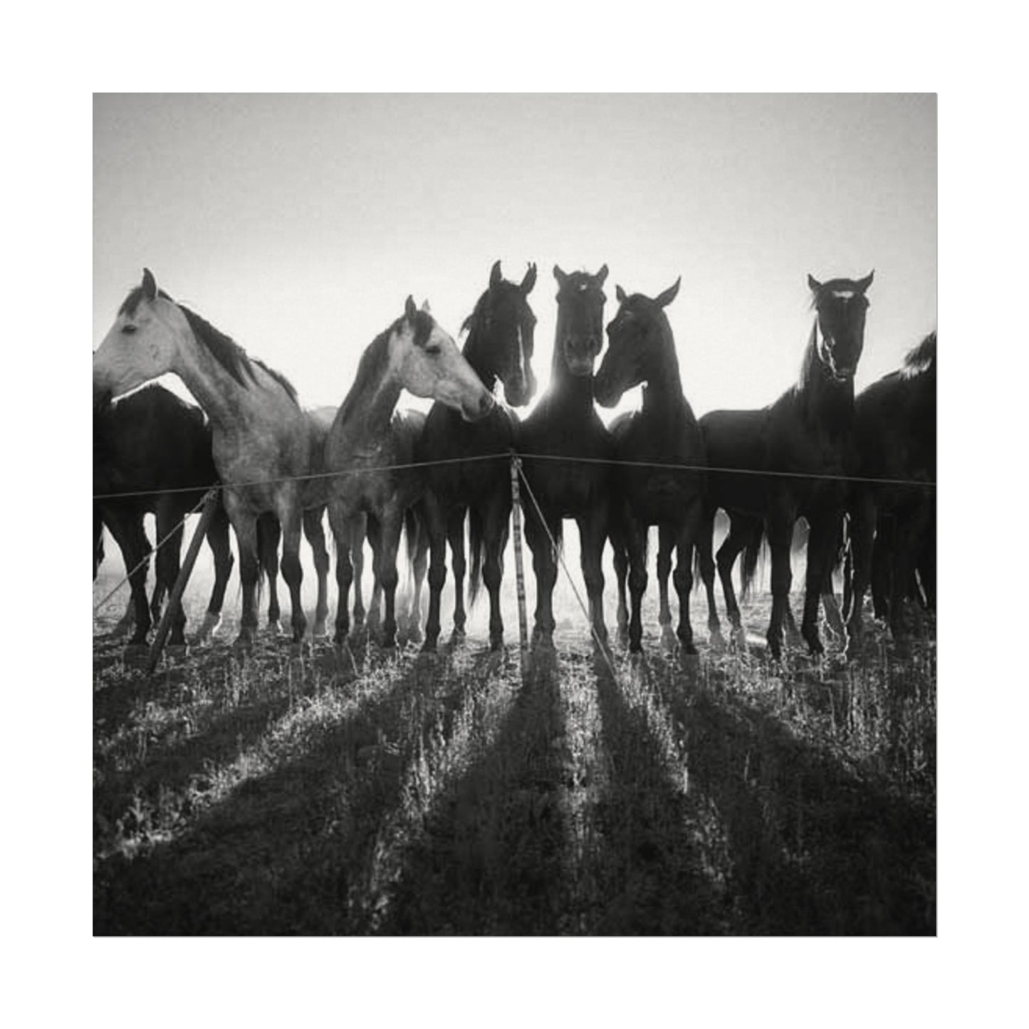 When Dawn Breaks – Western Textured Watercolor Matte Posters