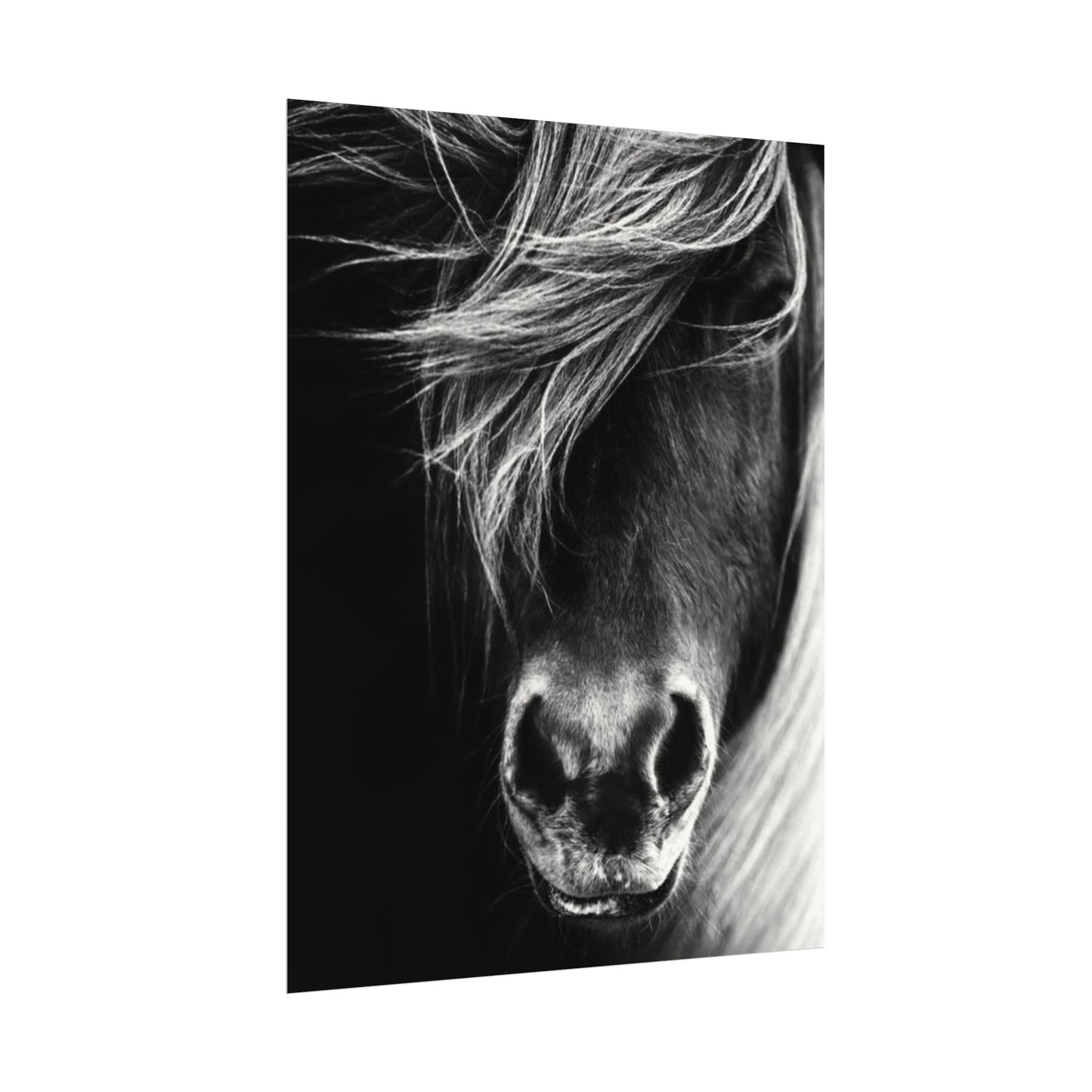 Wild Winds – Western Textured Watercolor Matte Posters