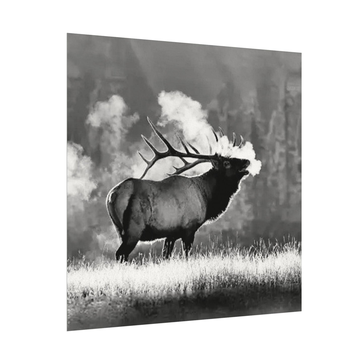 When Nature Calls– Western Textured Watercolor Matte Posters