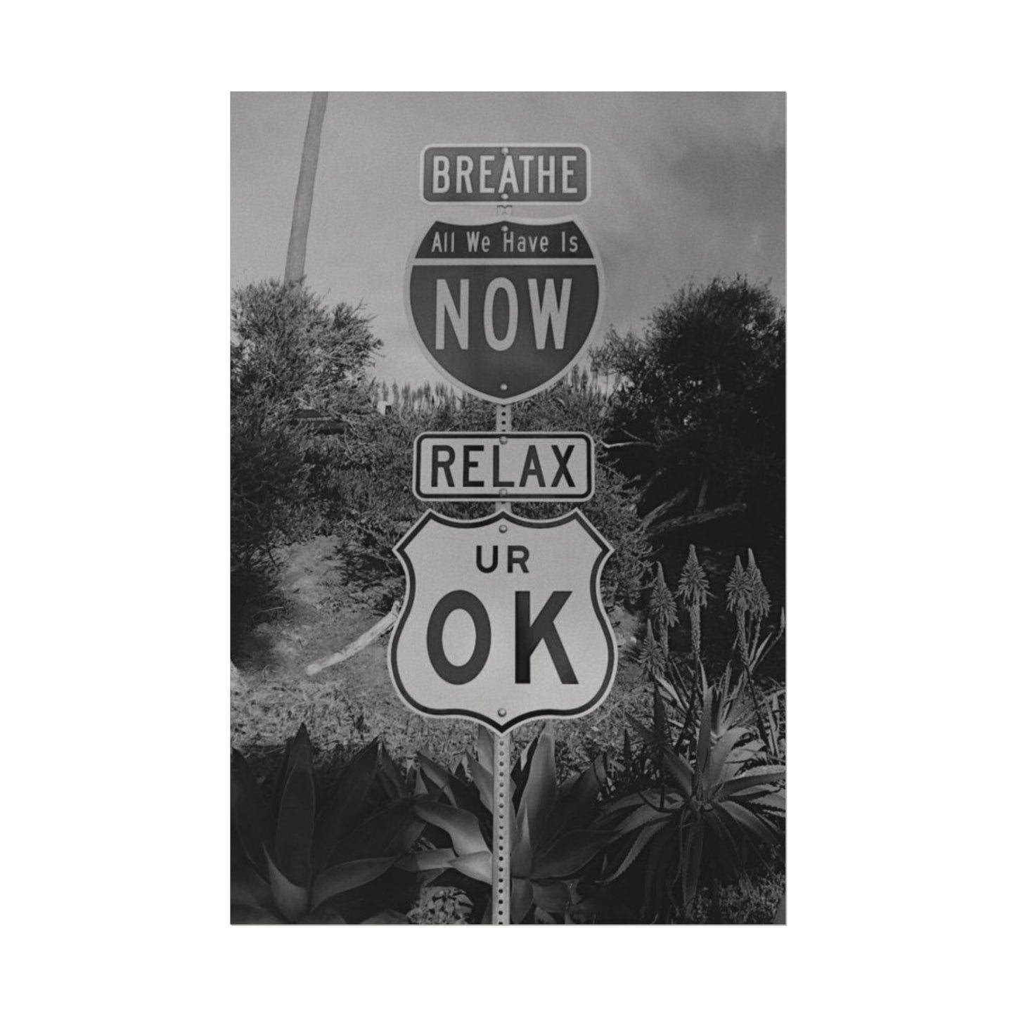 Here's Your Sign Textured Desert Watercolor Matte Posters