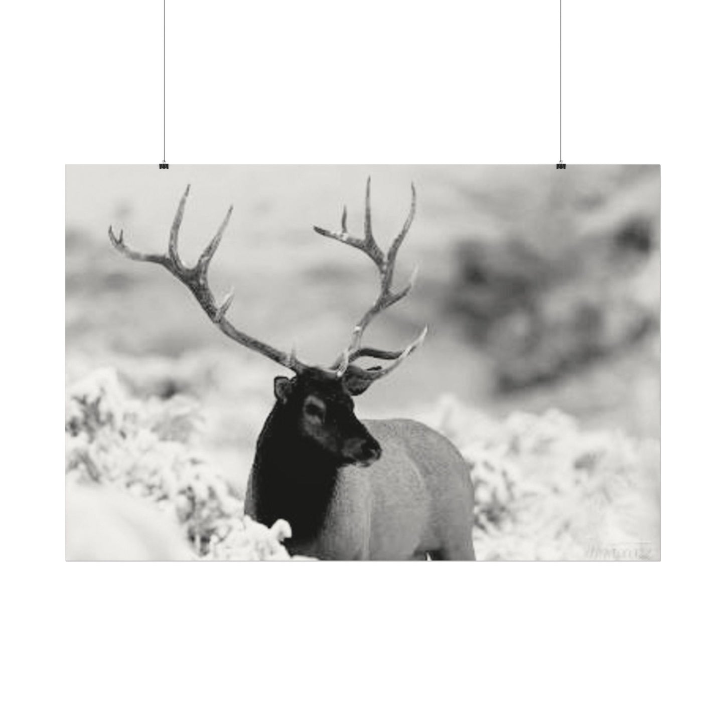 Majesty Of The North– Western Textured Watercolor Matte Posters