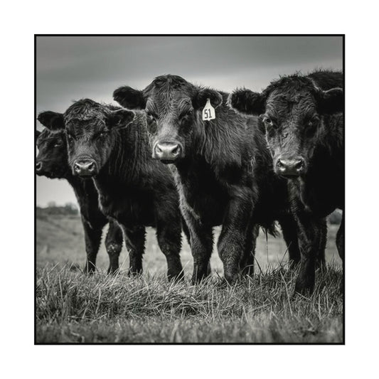 The Grazing Crew – Western Textured Watercolor Matte Posters