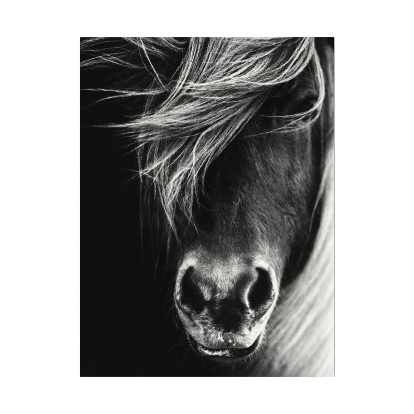 Wild Winds – Western Textured Watercolor Matte Posters