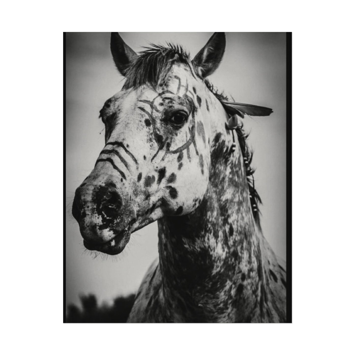 Pale Rider – Western Textured Watercolor Matte Posters