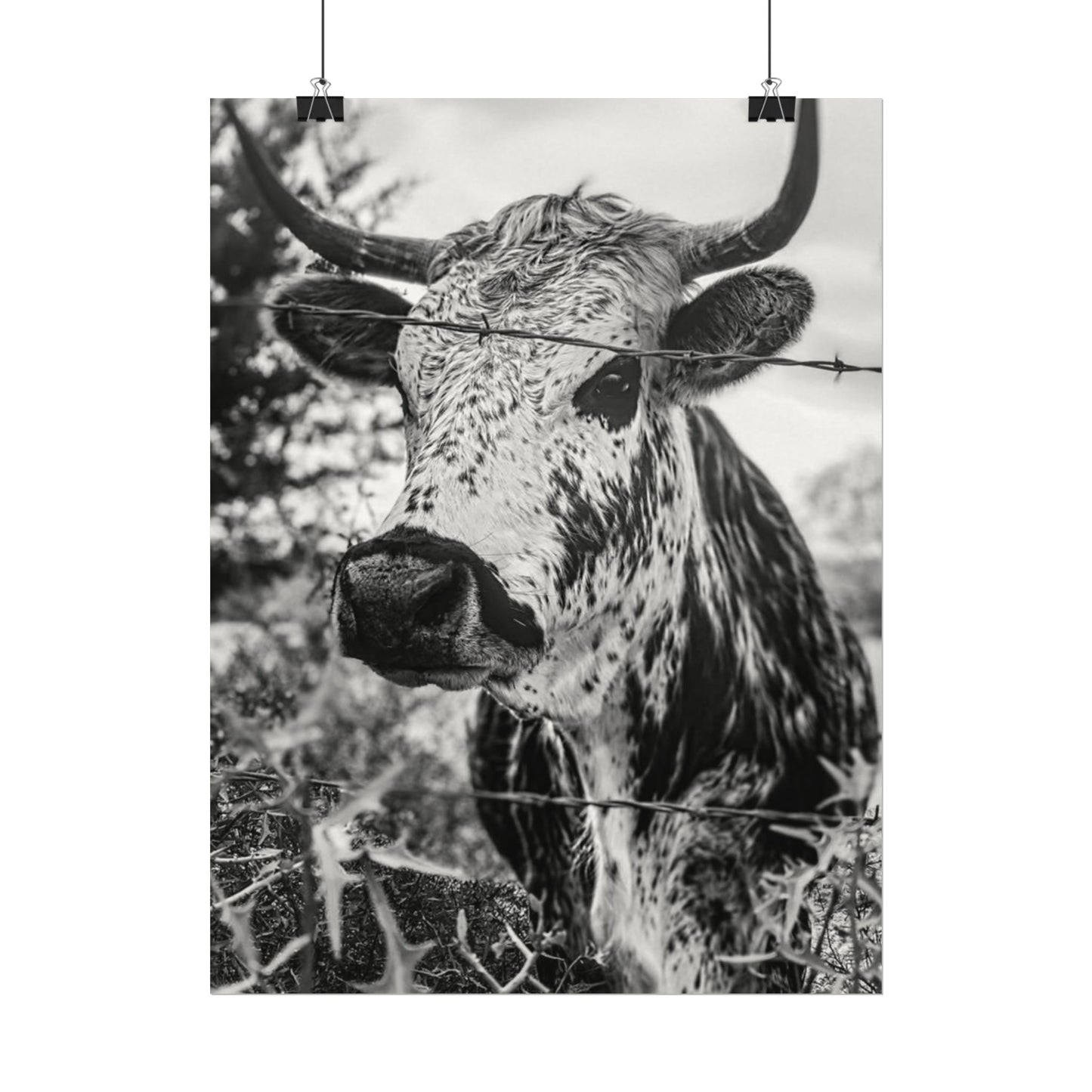 Barbed & Brave Western Textured Watercolor Matte Posters